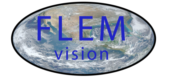 FlemVision